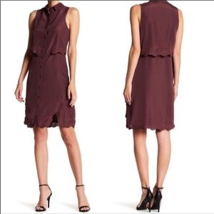 HP🎉Parker women’s embroidered overlay shirt dress